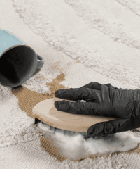 Stain-&-Spot-Removal