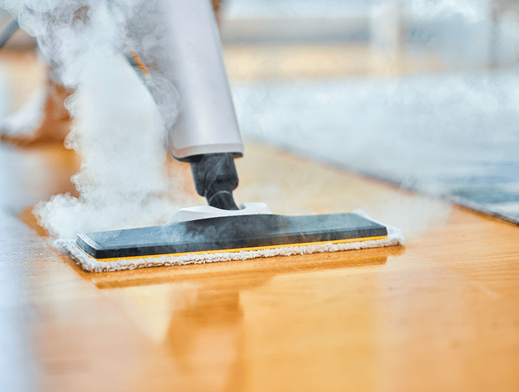 carpet steam cleaning
