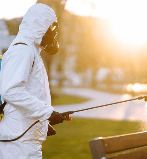 pest control in brisbane