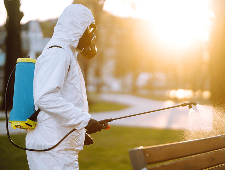 pest control in brisbane