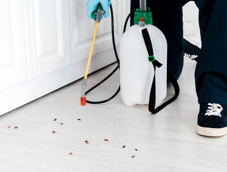 pest control services