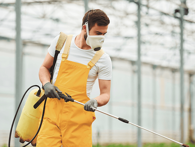 brisbane pest control